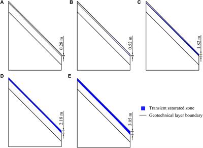 Damage cause and mechanism of well-vegetated soil slopes under extreme rainfall: a case study